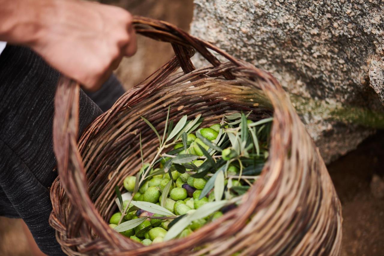 ホテル Cascioni Eco Retreat アルツァケーナ エクステリア 写真